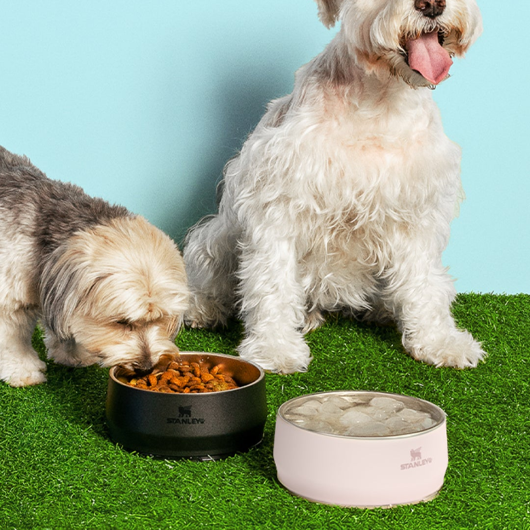 Pet bowls de acero inoxidable - Durabilidad para tus mascotas