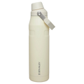 Stanley IceFlow™ Aerolight Fast Flow | 1L