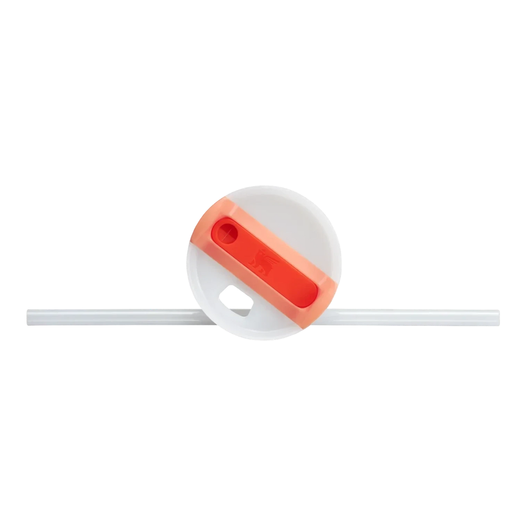 Stanley Quencher H2.0 Flowstate™ Tumbler Peach | 887ML